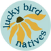 Translation missing: en.Lucky Bird Natives LLC accessibility.home